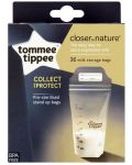 Комплект торбички за кърма Tommee Tippee - Closer to Nature, 350 ml, 36 броя - 1t