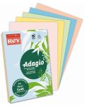 Цветна копирна хартия Rey Adagio - Микс 3 , А4, 80 g, 100 листа - 1t