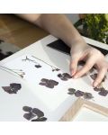 Творчески комплект Kikkerland Huckleberry - Направи картина със сушени цветя - 4t