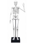 Творчески комплект Buki France - Направи си сам човешки скелет - 3t