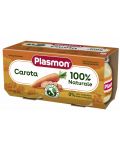 Зеленчуково пюре Plasmon - Моркови, 2 х 80 g - 1t