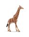 Фигурка Schleich Wild Life Africa - Жираф мрежест, мъжки - 1t