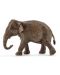 Фигурка Schleich Wild Life Asia and Australia - Индийски слон, женски - 1t