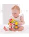 Бебешка играчка Playgro - Топка, Играй и опознавай - 3t