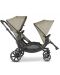 Бебешка количка за близнаци ABC Design Classic Edition - Zoom, Reed  - 3t