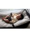 Бебешка възглавница BabyJem - Сива, 49 x 77 cm - 6t