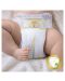 Бебешки пелени Pampers - Premium Care 3, 20 броя  - 2t