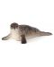 Фигурка Mojo Sealife - Сив дългомоцунест тюлен - 1t