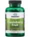 Chasteberry Fruit, 400 mg, 120 капсули, Swanson - 1t