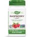 Raspberry Leaf, 450 mg, 100 капсули, Nature's Way - 1t