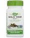 Wild Yam Root, 425 mg, 100 капсули, Nature’s Way - 1t