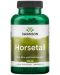 Horsetail, 500 mg, 90 капсули, Swanson - 1t
