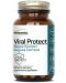 Комплект Viral Protect Kids Сироп и Viral Protect, 125 ml + 60 капсули, Herbamedica - 4t