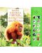 Малка книжка със звуци на животни от джунглата - 1t
