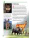 Моята първа книга за животните в България - 4t
