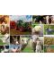 Пъзел Grafika от 1500 части - Селскостопански животни - 2t