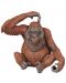 Фигурка Papo Wild Animal Kingdom – Орангутан - 1t