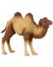 Фигурка Papo Wild Animal Kingdom – Двугърба камила - 1t