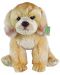Плюшена играчка Rappa Еко приятели - Куче Лабрадор, седящо, 27 cm - 1t