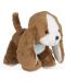Плюшена играчка Kaloo - Кучето Тирамису, 14 сm - 2t