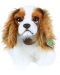 Плюшена играчка Rappa Еко приятели - Куче Кинт Чарлз Шпаньол, седящо, 25 cm - 1t