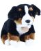 Плюшена играчка Rappa Еко приятели - Куче Бернски зененхунд, седящо, 25 cm - 1t