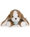 Плюшена играчка Kaloo - Кучето Тирамису, 14 сm - 4t