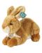 Плюшена играчка Rappa Еко приятели - Зайче, 23 cm, кафяво - 1t