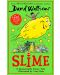 Slime (David Walliams) - 1t