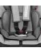 Столче за кола Lorelli - Navigator, Black Crowns, 9-36 kg - 6t