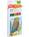 Цветни моливи Deli Color Emotion - EC00200, 12 цвята - 1t