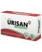 Urisan Urinary Tract, 30 таблетки, Sun Wave Pharma - 1t